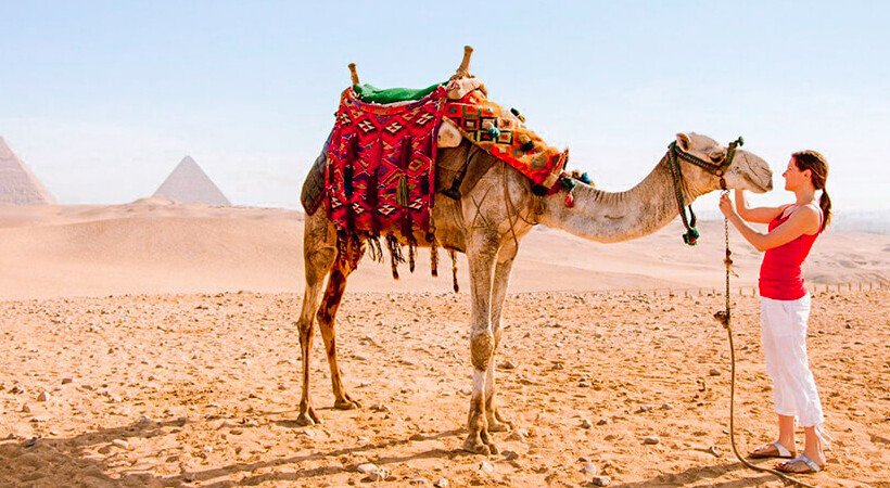 Best Time to Travel to Egypt