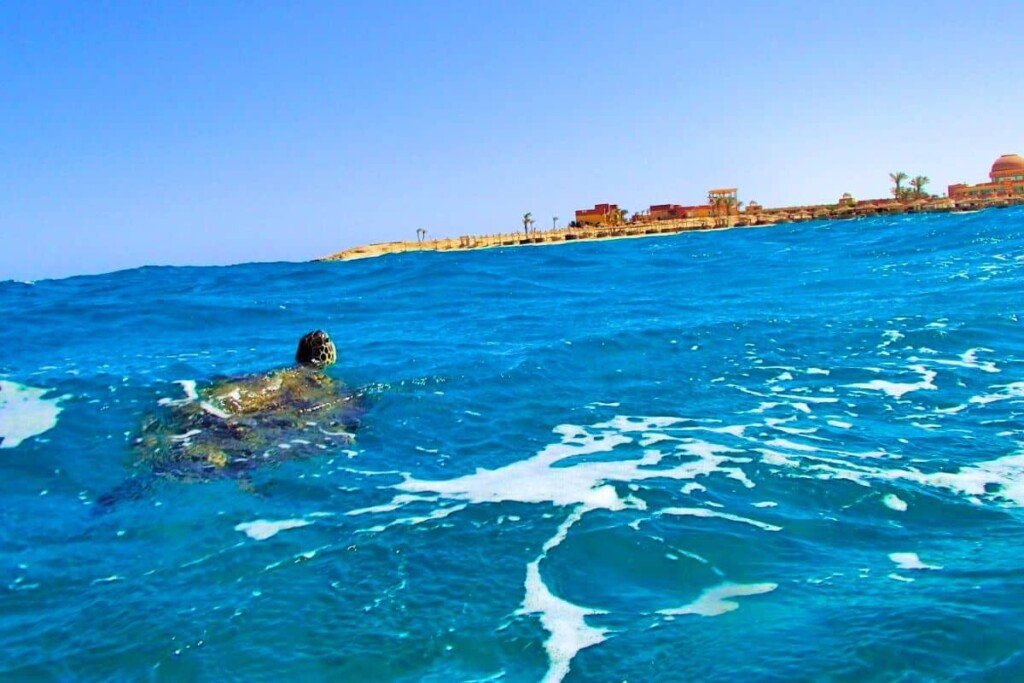 Marsa Alam
