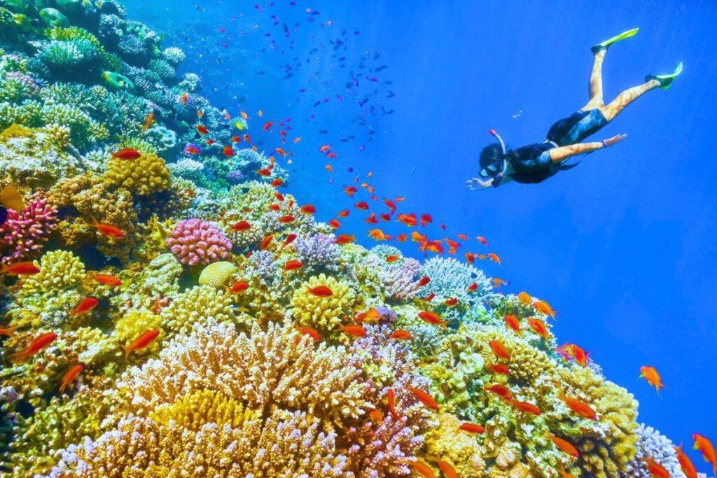 giftun island hurghada