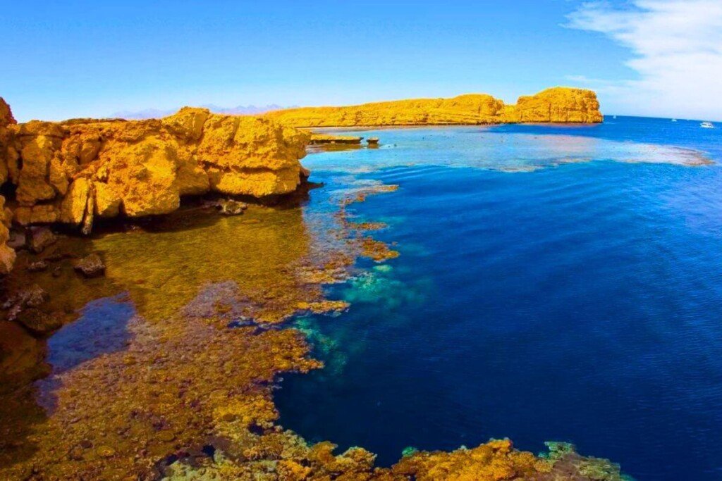 ras Mohammed national park