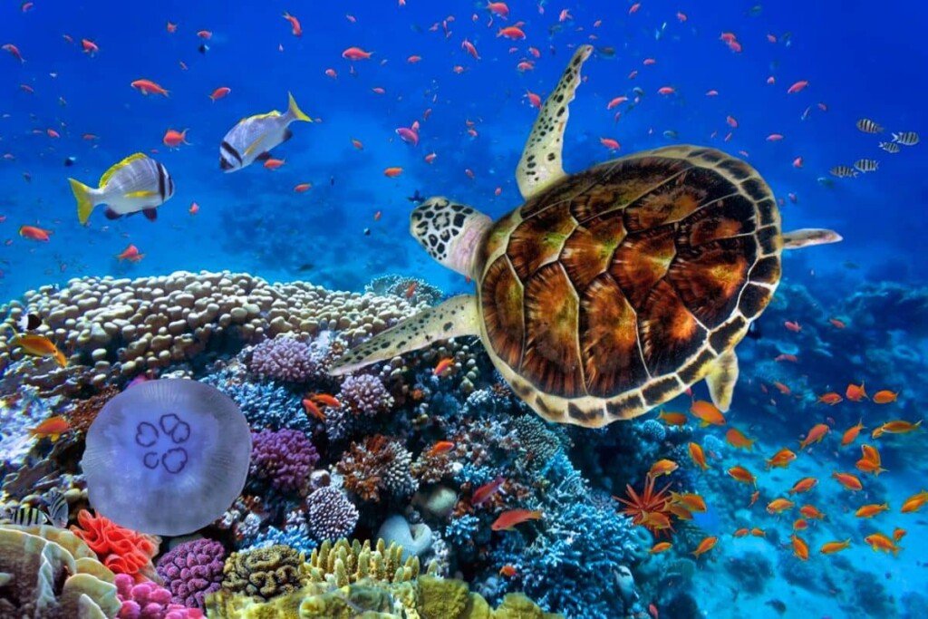 Marsa Alam