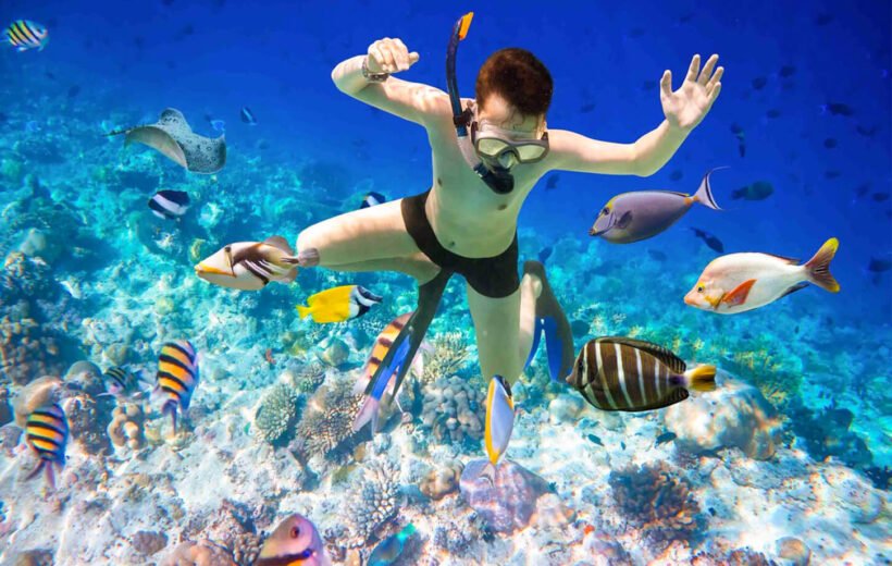 Snorkeling Trip to Sharm El-Naga