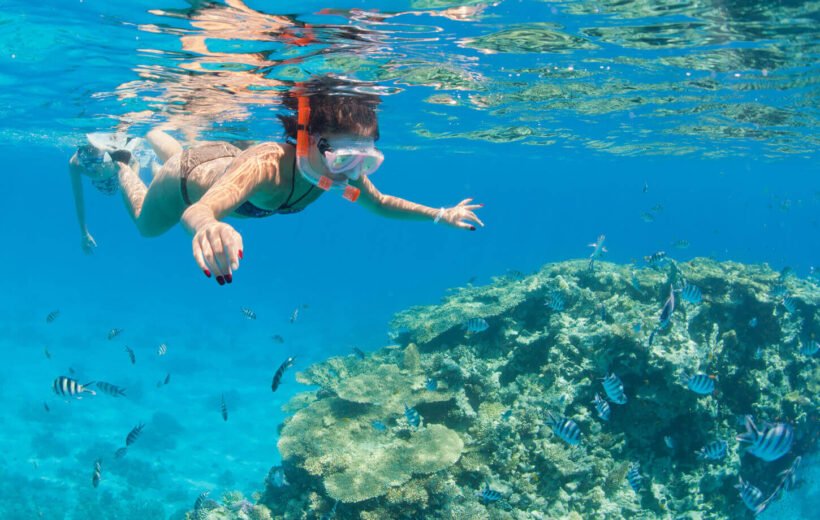 Paradise Island Snorkeling Trip From Hurghada